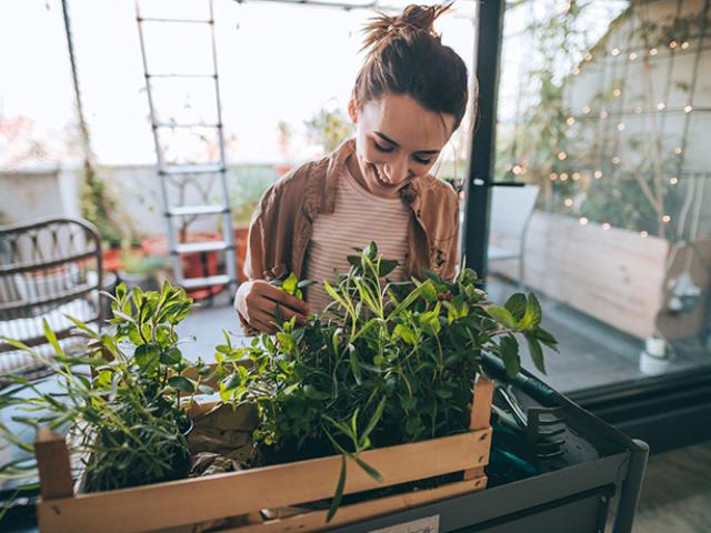 Mujer cuidando de sus plantas